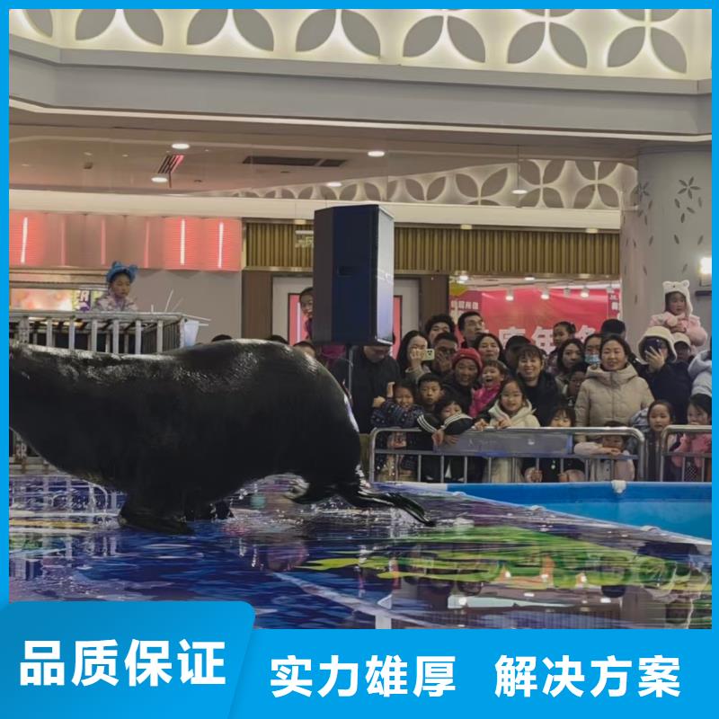 定制亲子活动萌宠出租赁_品牌厂家