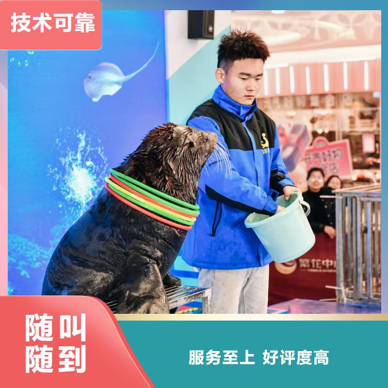 定制亲子活动萌宠出租赁_品牌厂家