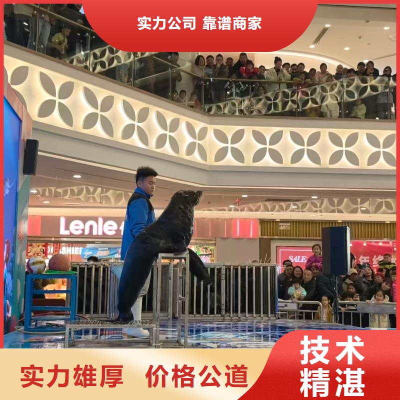 定制亲子活动萌宠出租赁_品牌厂家