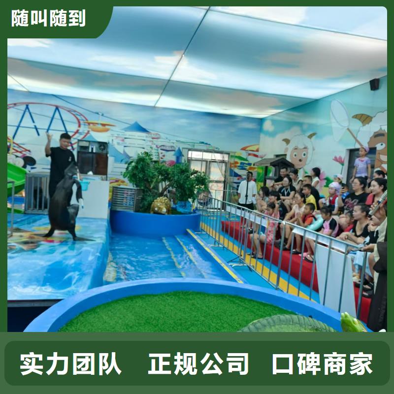 定制亲子活动萌宠出租赁_品牌厂家