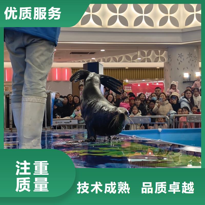 定制亲子活动萌宠出租赁_品牌厂家