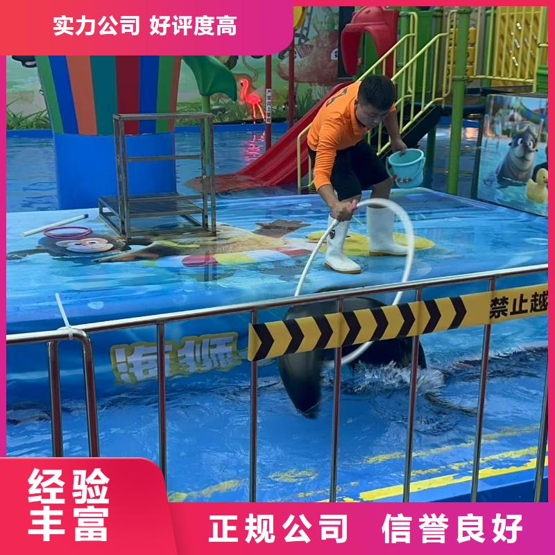 定制亲子活动萌宠出租赁_品牌厂家