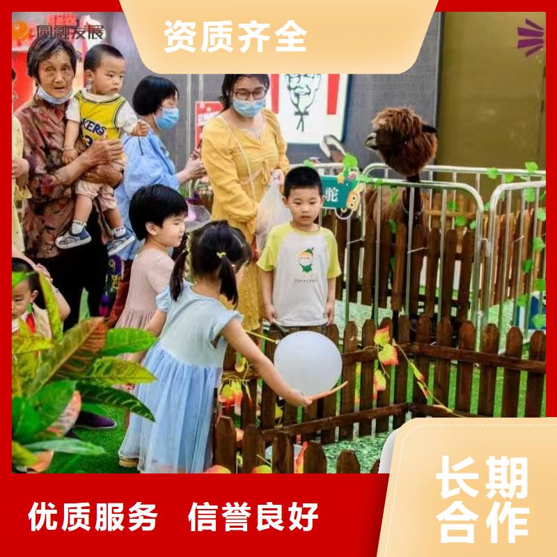 水豚租赁价格公道