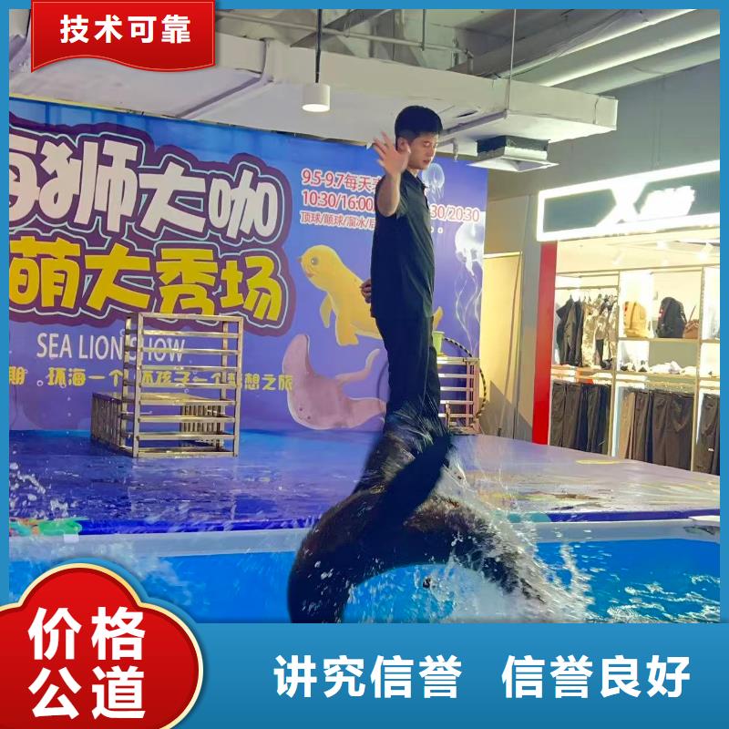 海狮动物表演出租-海狮动物表演出租靠谱