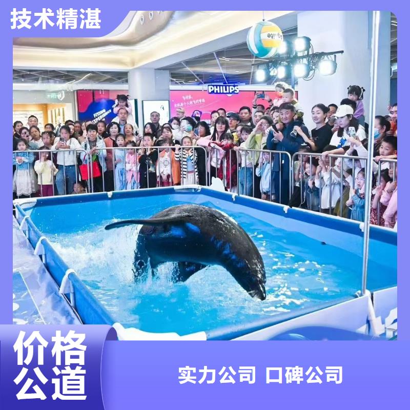海狮动物表演出租-海狮动物表演出租靠谱