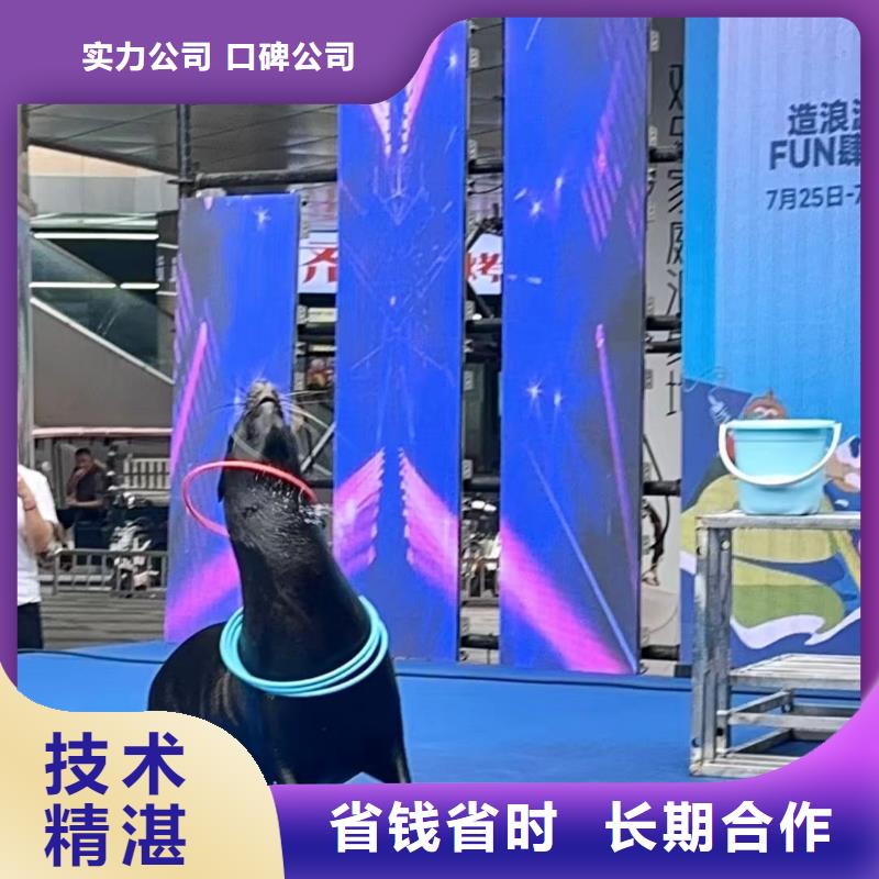 景区、景区价格