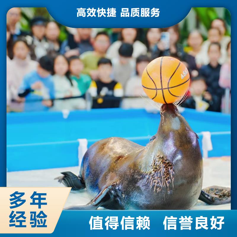 优选：动物租赁厂家