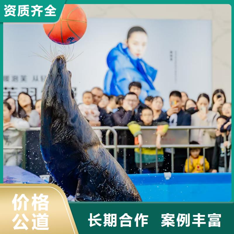 优选：动物租赁厂家