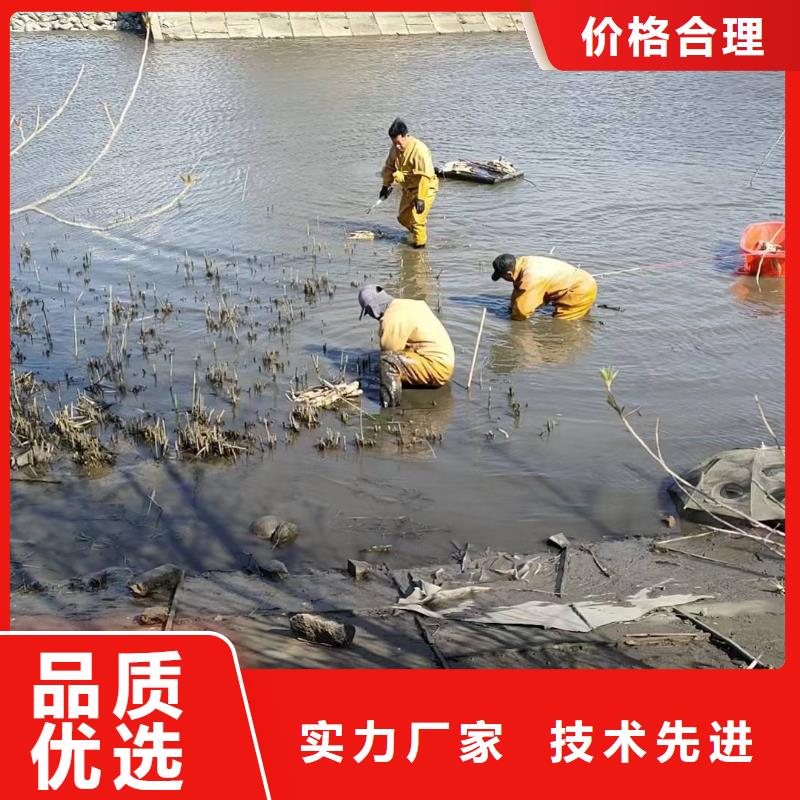 荷花苗莲花厂家直销大量现货