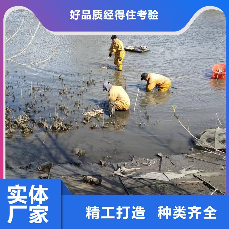 荷花苗盆栽荷花海量现货