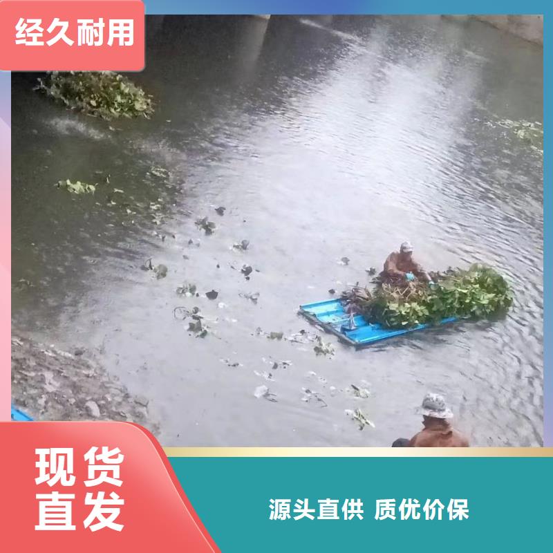 水生植物莲花质量为本