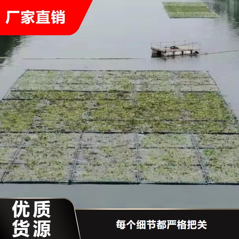 水生植物_微齿眼子菜为品质而生产