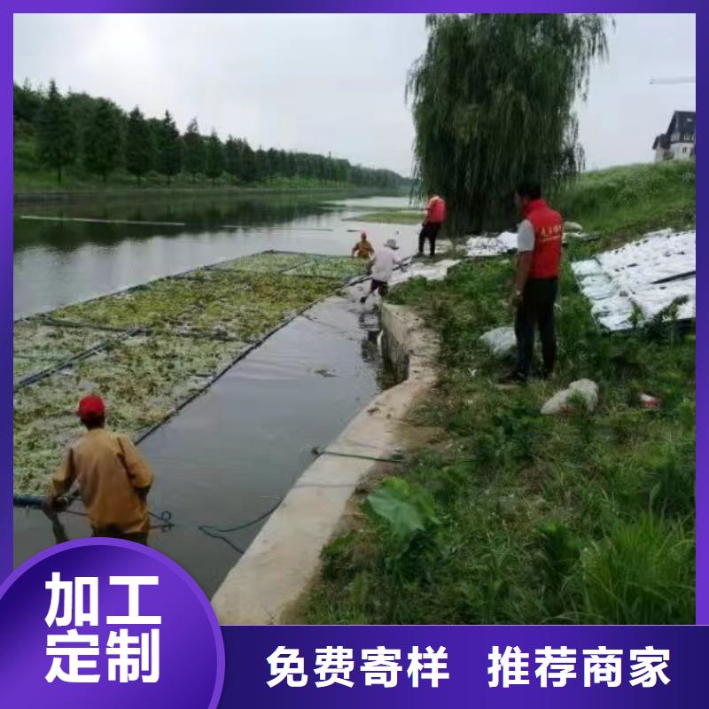 水生植物-芦苇大库存无缺货危机