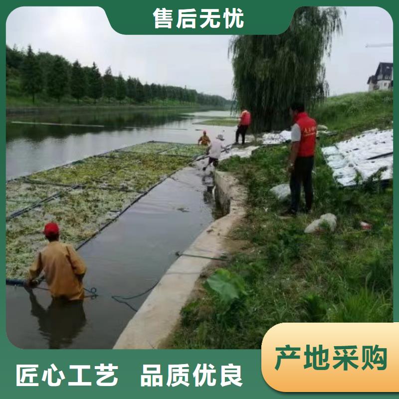 水生植物沉水植物让利客户