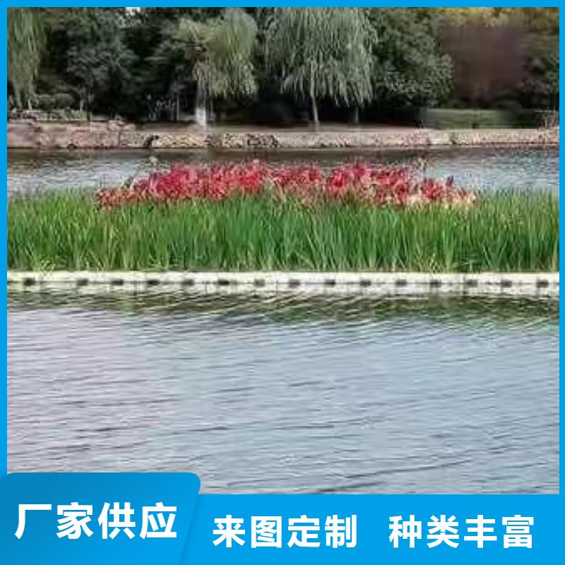 水生植物莲花质量为本