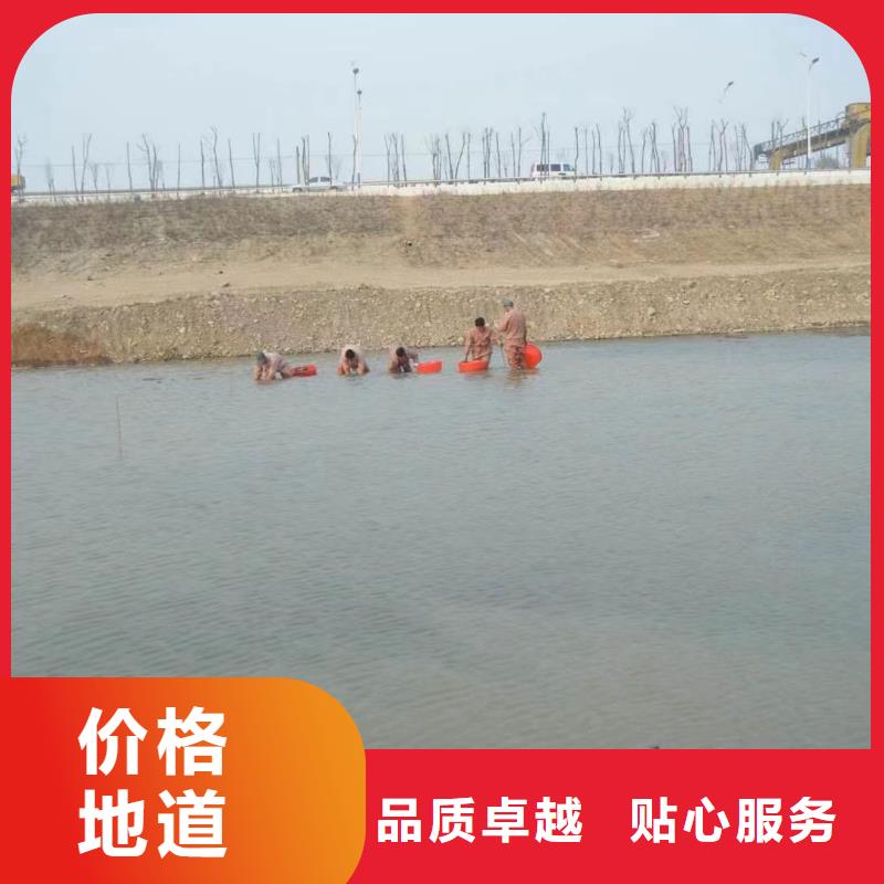 水生植物再力花货品齐全