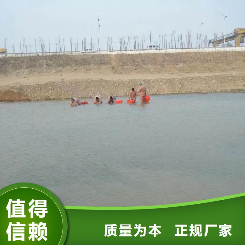 水生植物再力花货品齐全