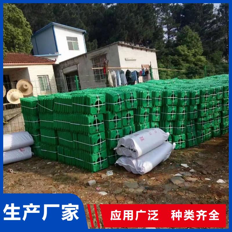 水生植物-芦苇大库存无缺货危机