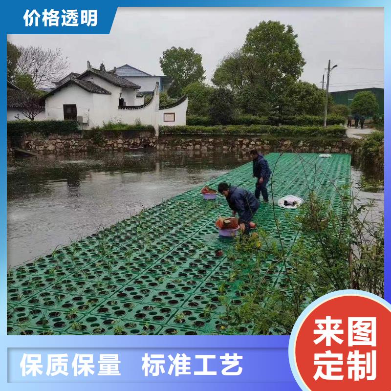 水生植物-莲花种子质量可靠