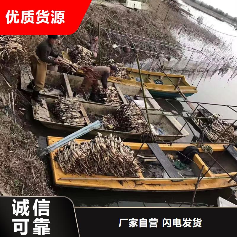 水生植物蒲苇市场行情