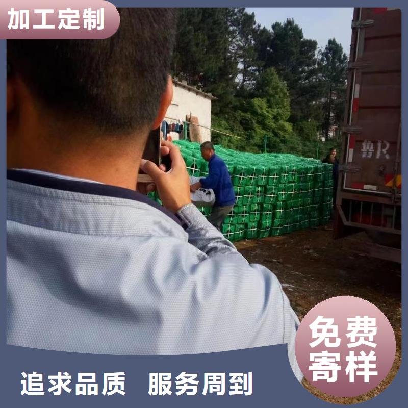 水生植物荷花小苗严选用料