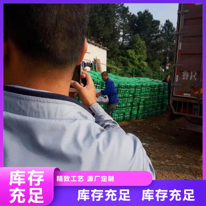 水生植物荷花小苗当日价格