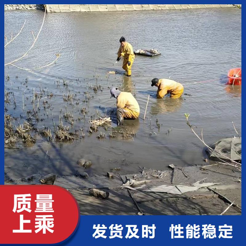 睡莲苗观赏睡莲苗实力公司