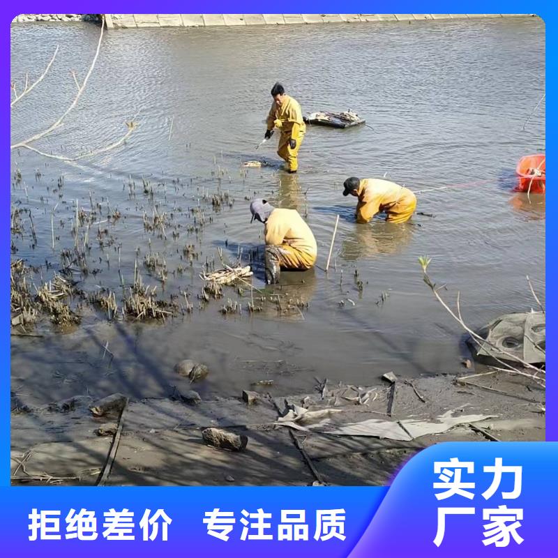 睡莲苗,鱼缸睡莲苗客户信赖的厂家