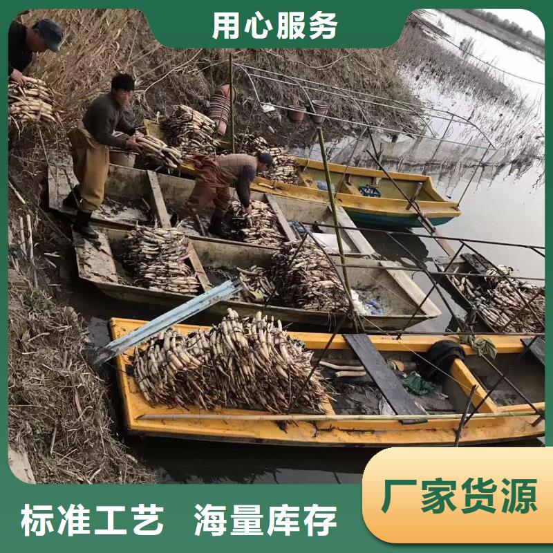 荷花苗盆栽莲花追求细节品质