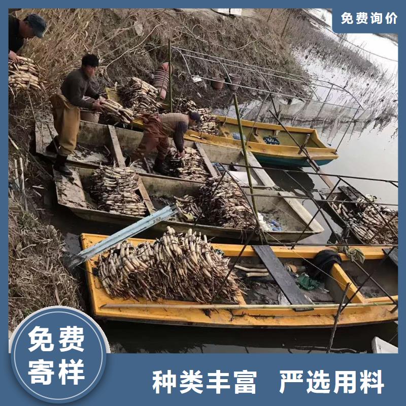 荷花苗挺水植物生产加工