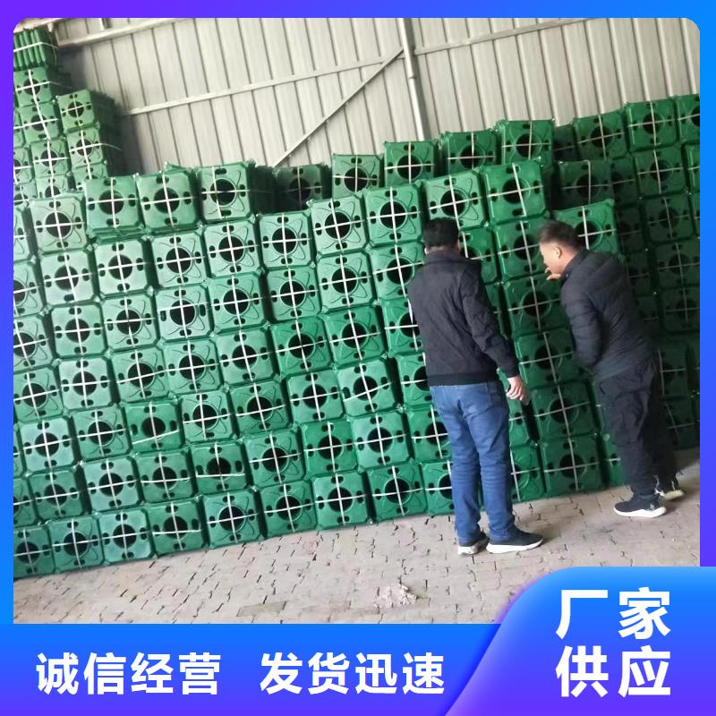 水生植物_生态浮床好品质售后无忧