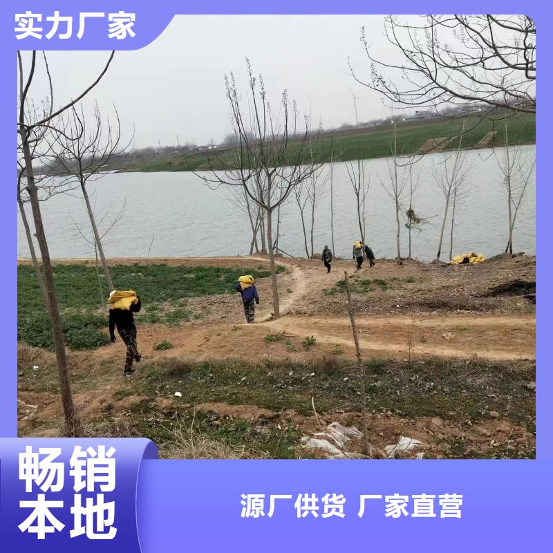 水生植物观赏莲花经销商