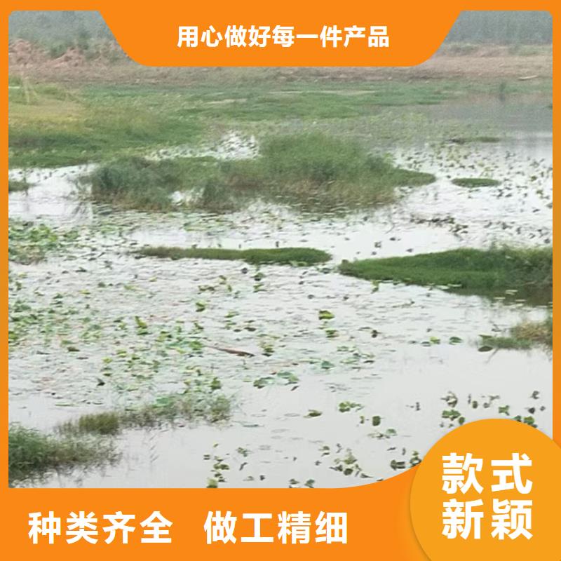 水生植物人工生态浮岛高品质现货销售