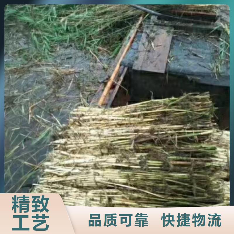 水生植物_生态浮床好品质售后无忧