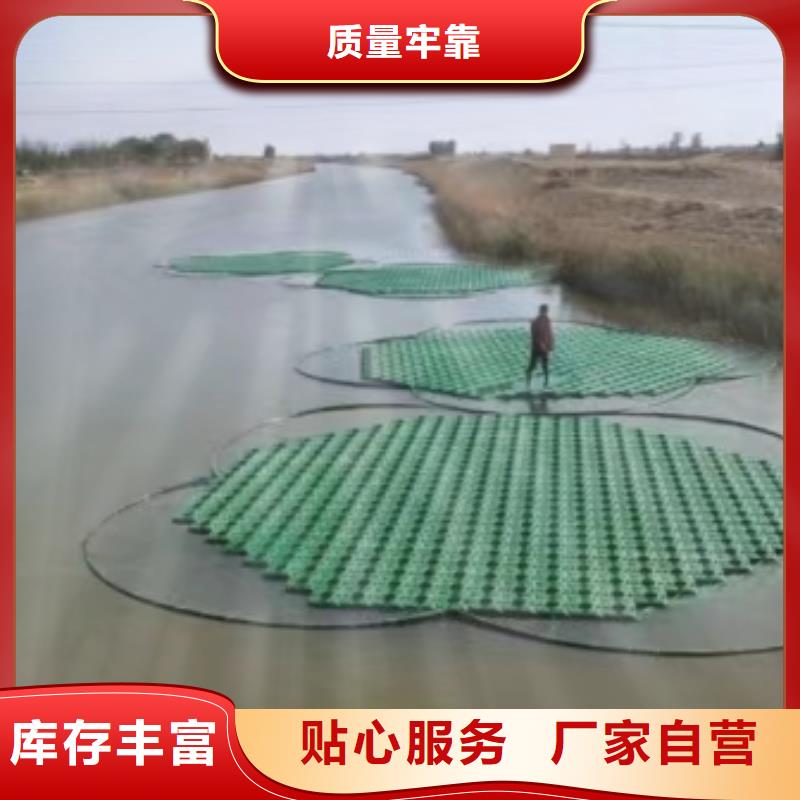 水生植物重瓣莲花客户满意度高