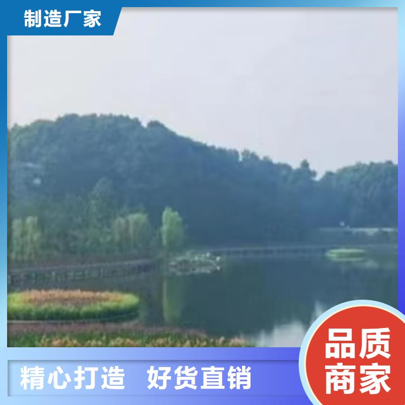 水生植物莲藕苗标准工艺