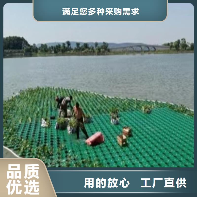 水生植物_生态浮床好品质售后无忧