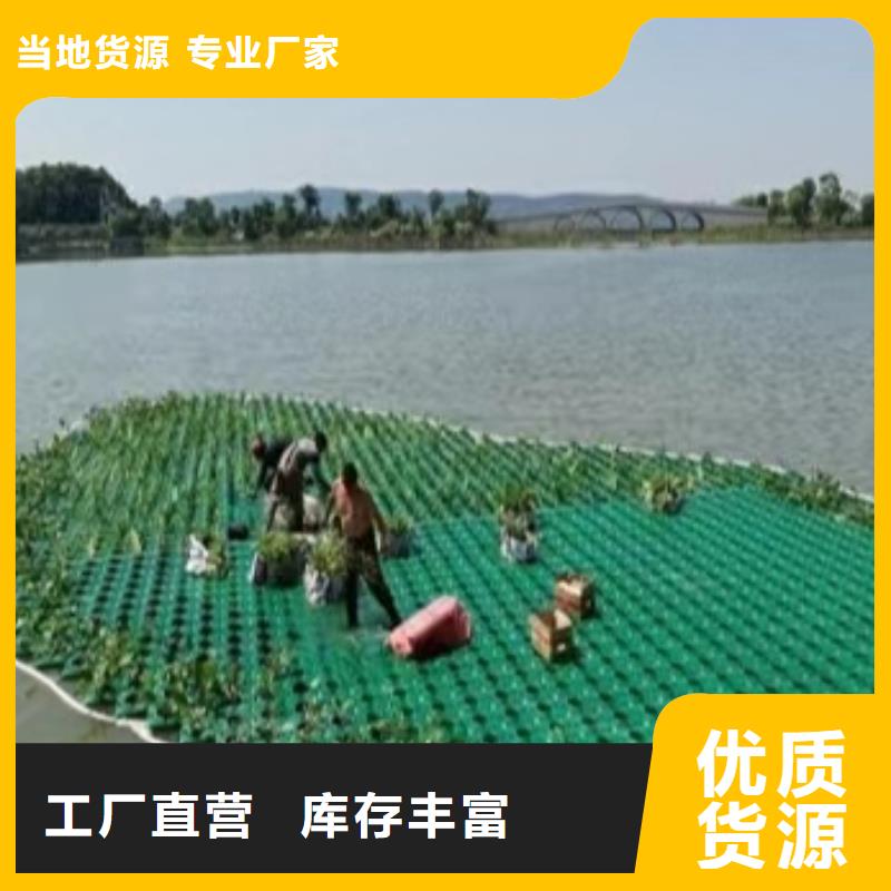 水生植物莲花苗产地源头好货