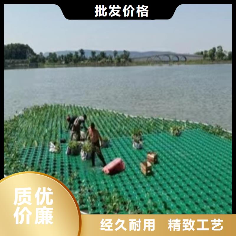 水生植物精品荷花质量不佳尽管来找我