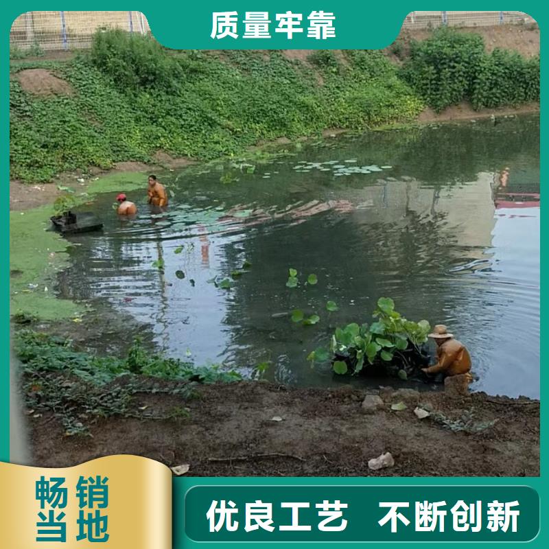 水生植物,睡莲一站式供应
