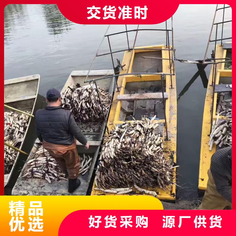 水生植物荇菜保障产品质量