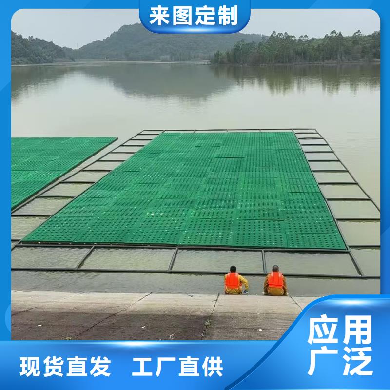 水生植物莲花苗产地源头好货