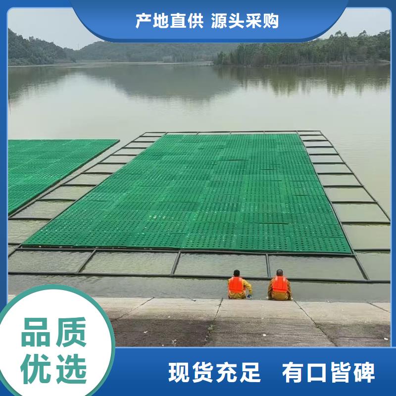 水生植物_观赏莲花实拍品质保障