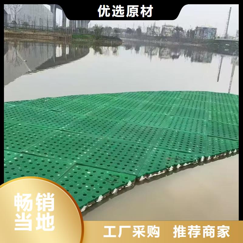 水生植物-香蒲自产自销