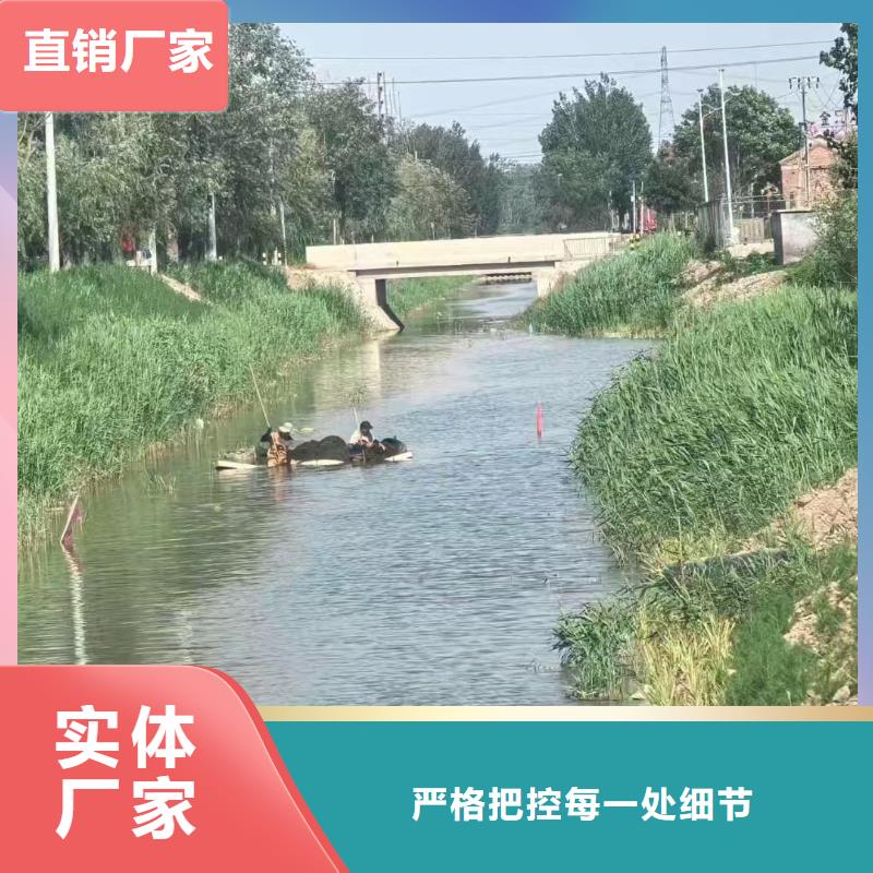 水生植物荇菜质量优选