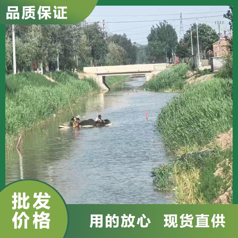 水生植物重瓣荷花质量上乘