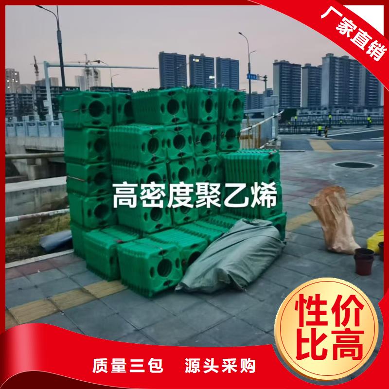 水生植物重瓣莲花客户满意度高