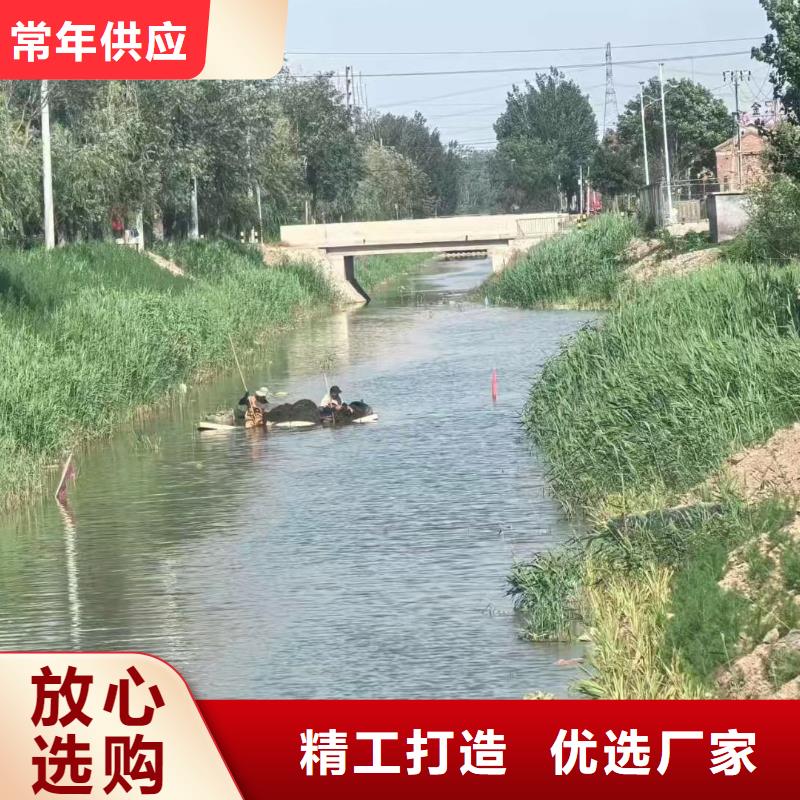 水生植物香蒲苗品质保障售后无忧