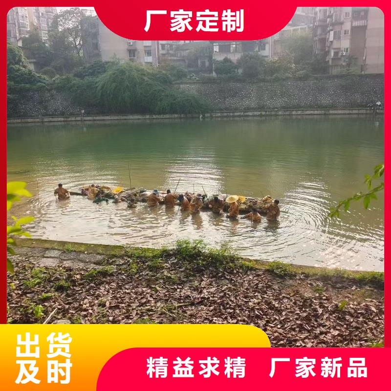 水生植物,大型莲花库存量大