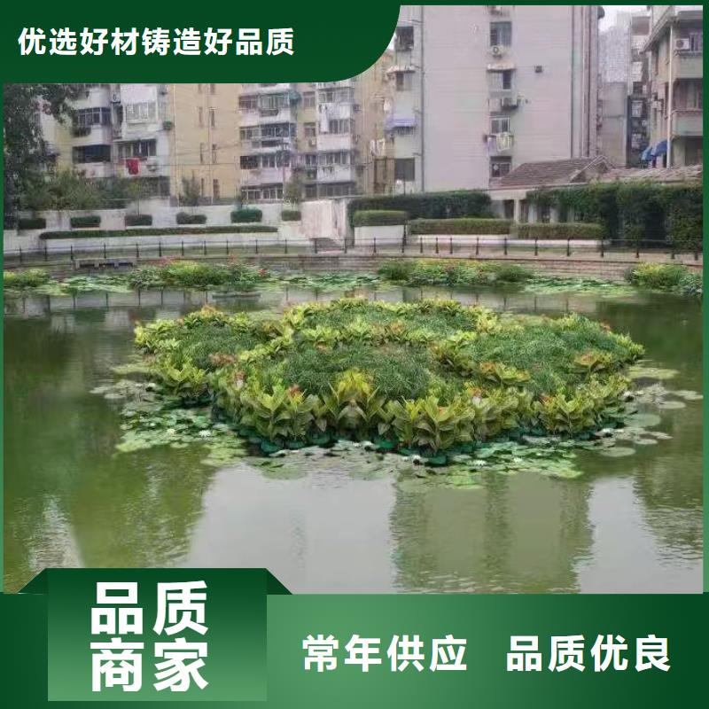 水生植物生态浮床准时交付